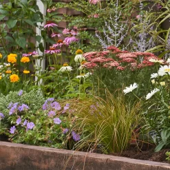 Bee And Butterfly Border Collection - 10m X 90cm -Garden Tool Store 12806830 1505027567369952