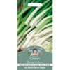 Mr. Fothergill's Spring Onion Ishikura (Allium Fistulosum) Bulbs