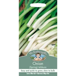 Mr. Fothergill's Spring Onion Ishikura (Allium Fistulosum) Bulbs