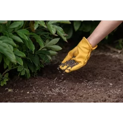 Westland Organic Chicken Manure Pellets - 2.25kg 6 Westland Organic Chicken Manure Pellets - 2.25kg -Garden Tool Store 12808834 7914971590288235