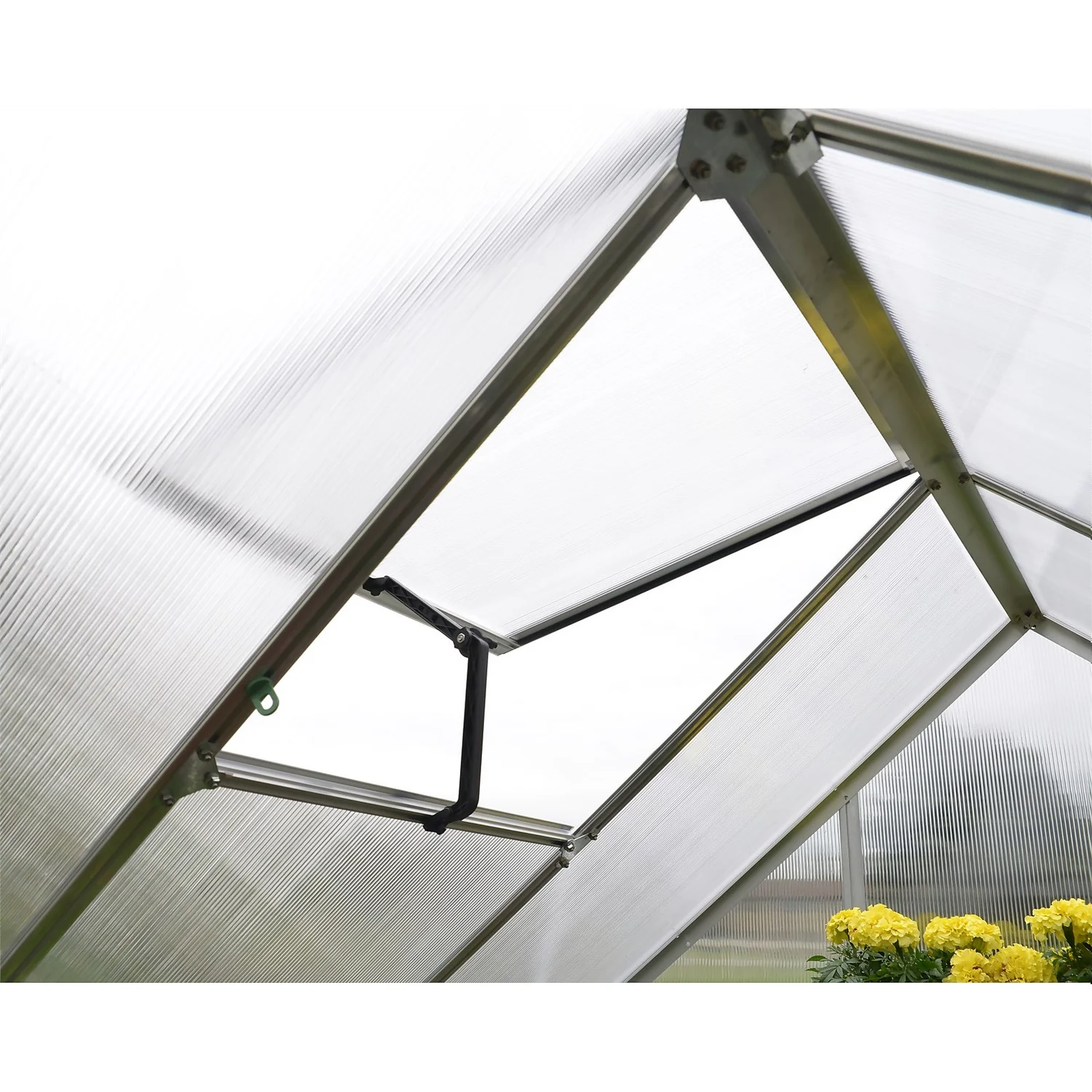 Palram 6 X 4ft Canopia Mythos Greenhouse - Silver 5 Palram 6 X 4ft Canopia Mythos Greenhouse - Silver - Image 5