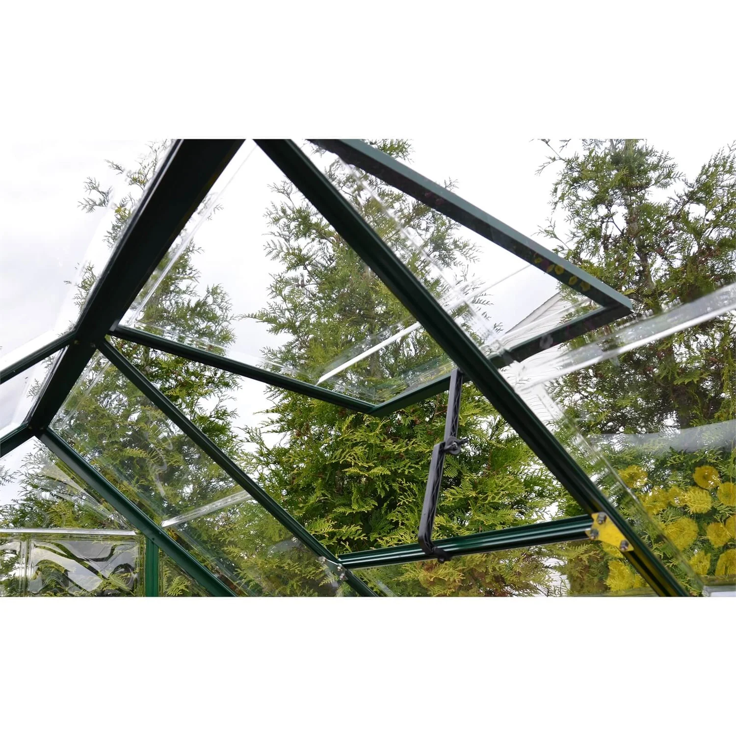 Palram 6 X 6ft Canopia Harmony Greenhouse - Green 5 Palram 6 X 6ft Canopia Harmony Greenhouse - Green - Image 5