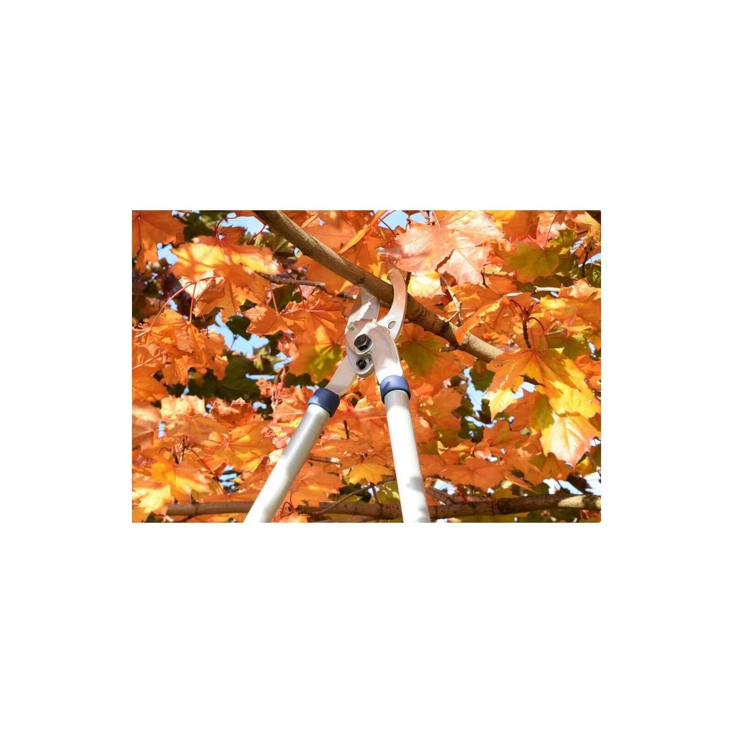 Spear & Jackson Razorsharp Tele Bypass Lopper 4 Spear & Jackson Razorsharp Tele Bypass Lopper - Image 4