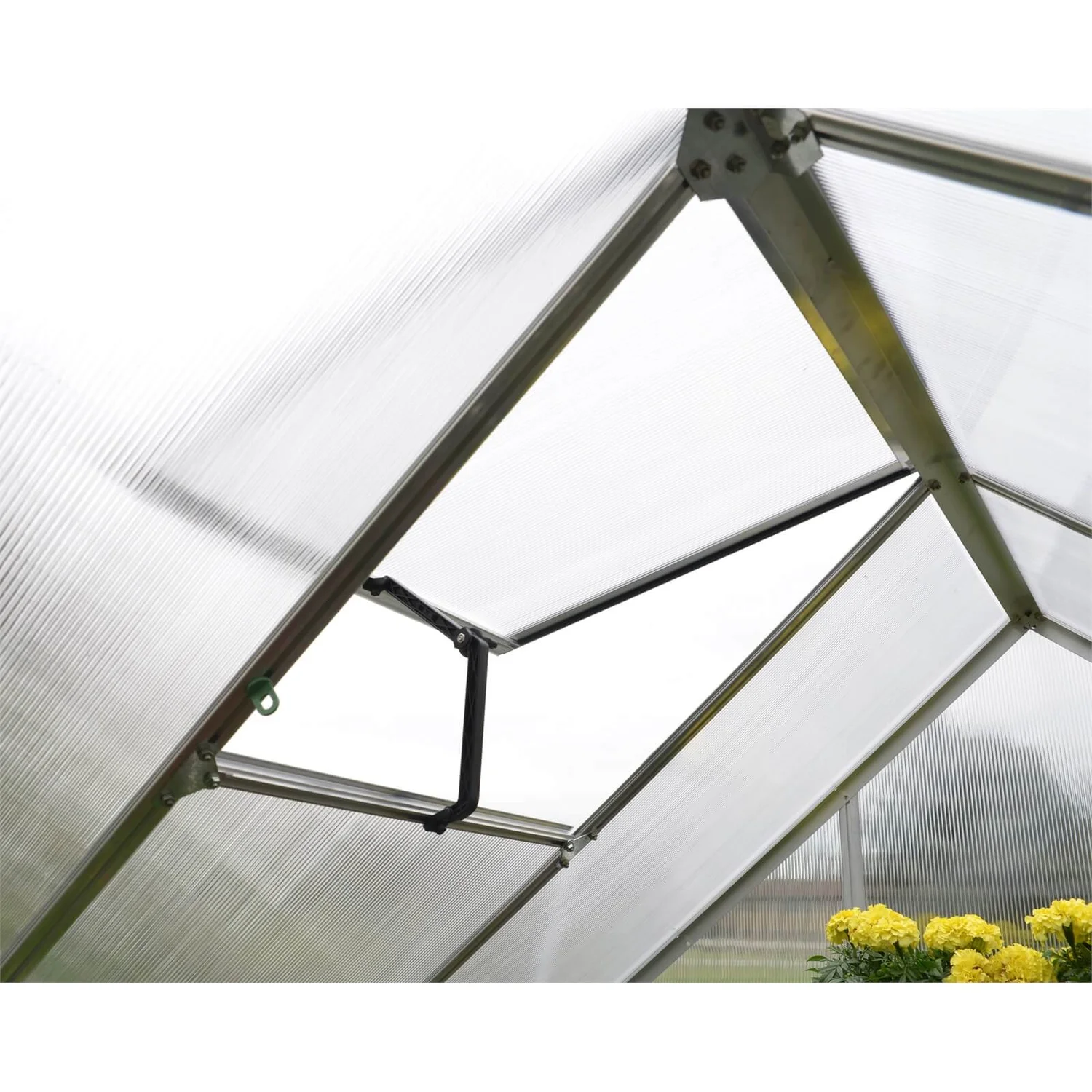 Palram 6 X 10ft Canopia Mythos Greenhouse - Silver 7 Palram 6 X 10ft Canopia Mythos Greenhouse - Silver - Image 7