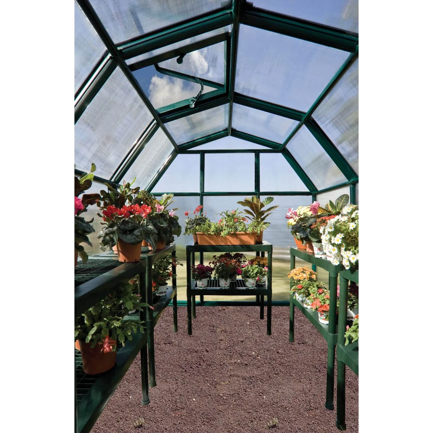 Palram 6 X 6ft Canopia Eco Grow Greenhouse - Green 4 Palram 6 X 6ft Canopia Eco Grow Greenhouse - Green - Image 4