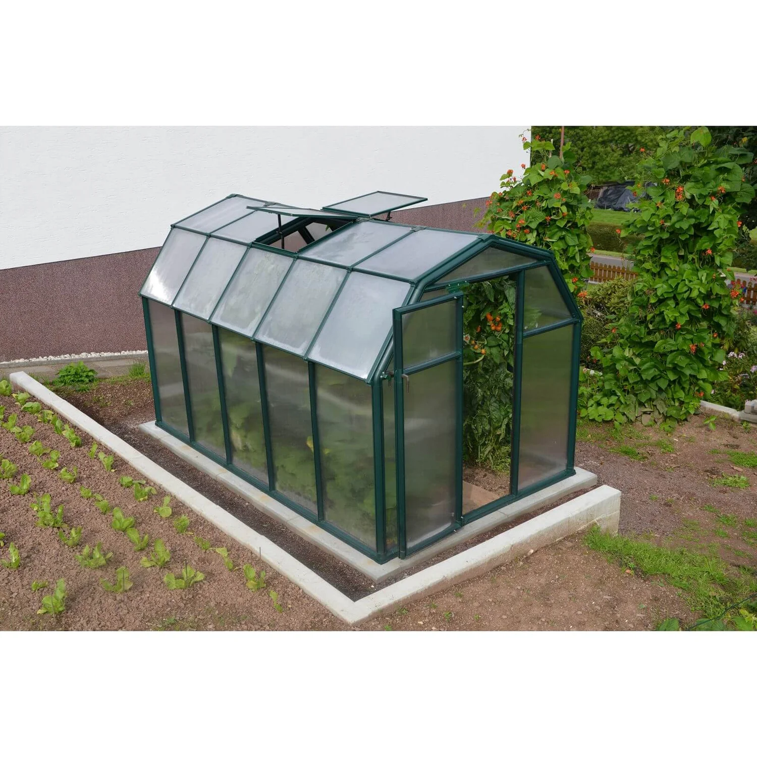 Palram 6 X 10ft Canopia Eco Grow Greenhouse - Green 3 Palram 6 X 10ft Canopia Eco Grow Greenhouse - Green - Image 3
