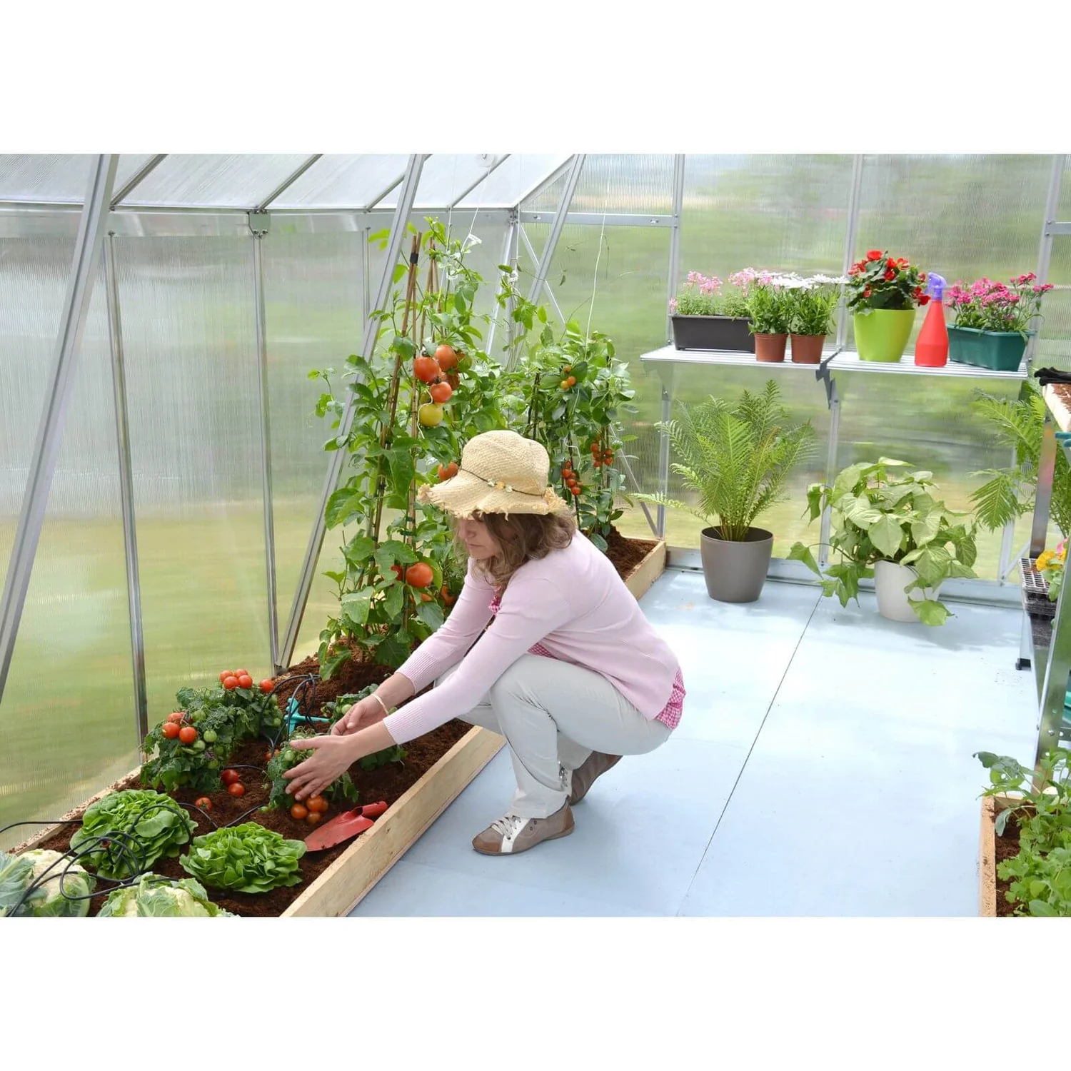 Palram 8 X 12ft Canopia Essence Greenhouse - Silver 6 Palram 8 X 12ft Canopia Essence Greenhouse - Silver - Image 6