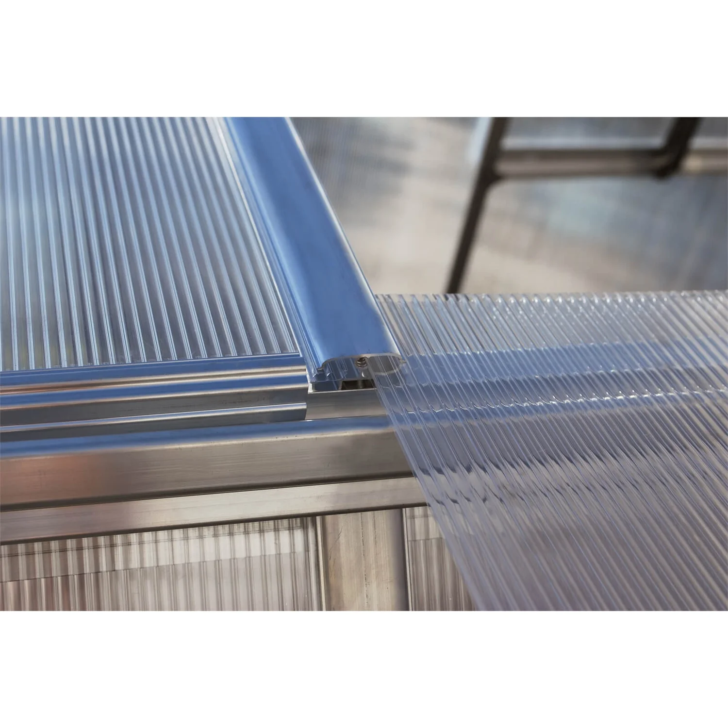 Palram 8 X 12ft Canopia Essence Greenhouse - Silver 5 Palram 8 X 12ft Canopia Essence Greenhouse - Silver - Image 5