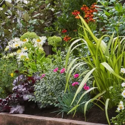 Sunny Border Collection - 6m X 90cm 10 Sunny Border Collection - 6m X 90cm -Garden Tool Store 12811331 1475034640537932