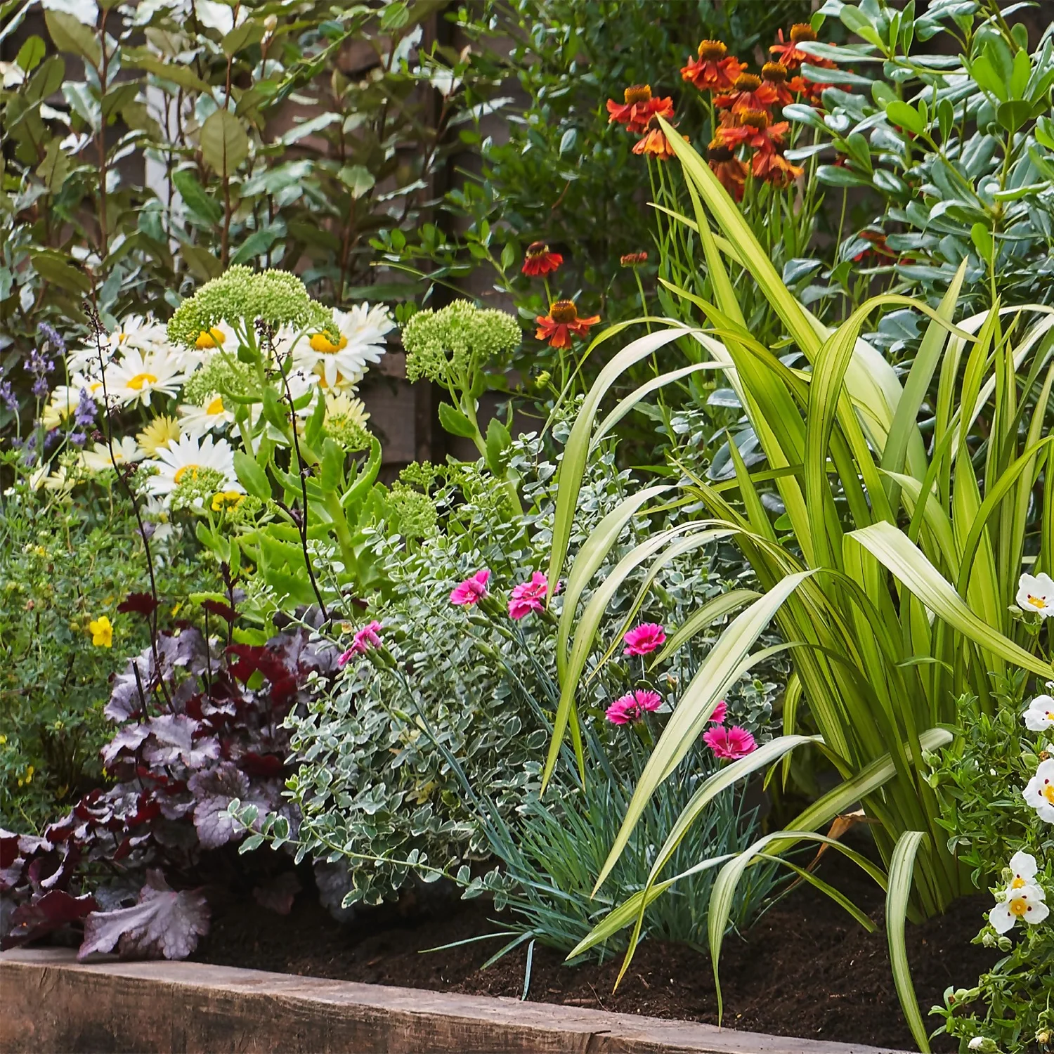 Sunny Border Collection - 6m X 90cm 4 Sunny Border Collection - 6m X 90cm - Image 4