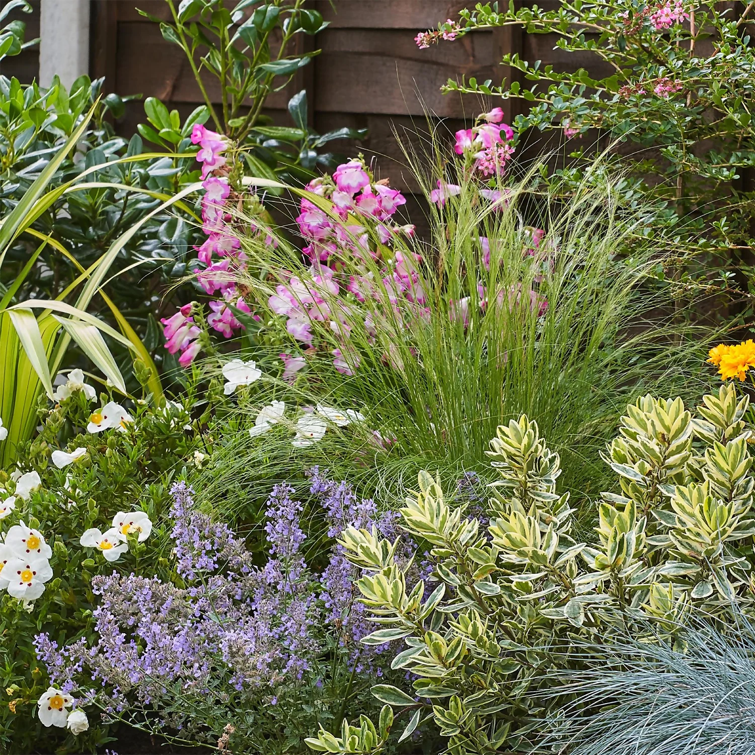 Sunny Border Collection - 10m X 90cm 5 Sunny Border Collection - 10m X 90cm - Image 5