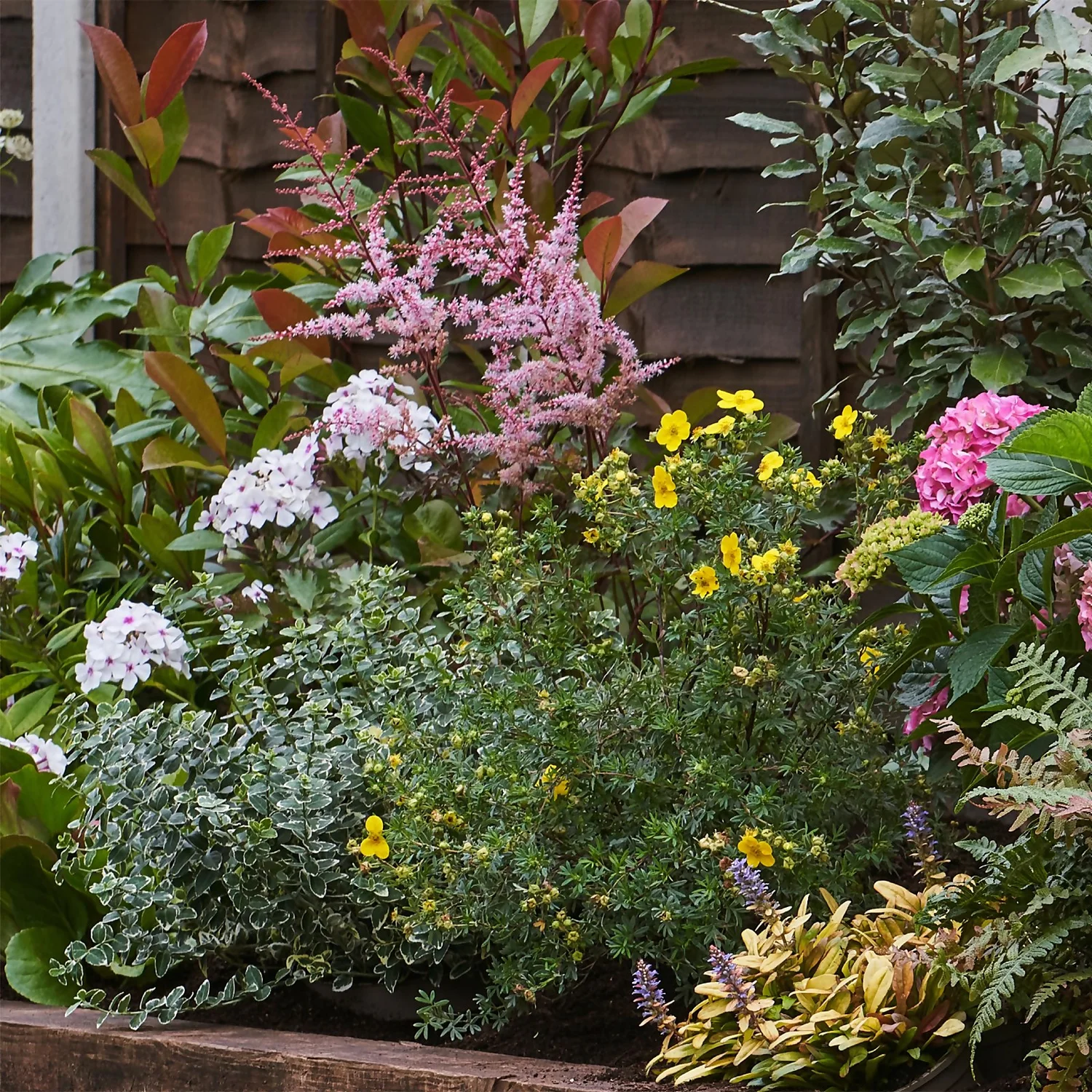 Shady Border Collection - 8m X 90cm 4 Shady Border Collection - 8m X 90cm - Image 4