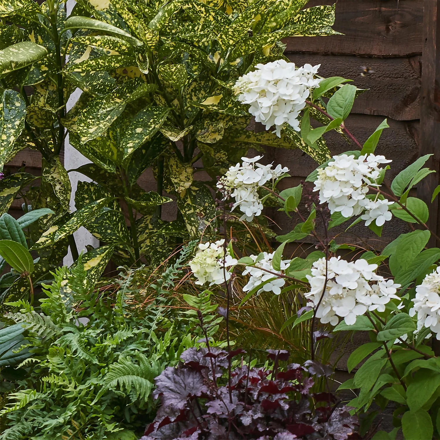 Shady Border Collection - 8m X 90cm 6 Shady Border Collection - 8m X 90cm - Image 6