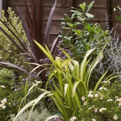 Mediterranean Border Collection - 10m X 60cm -Garden Tool Store 12811479 4055027802862686