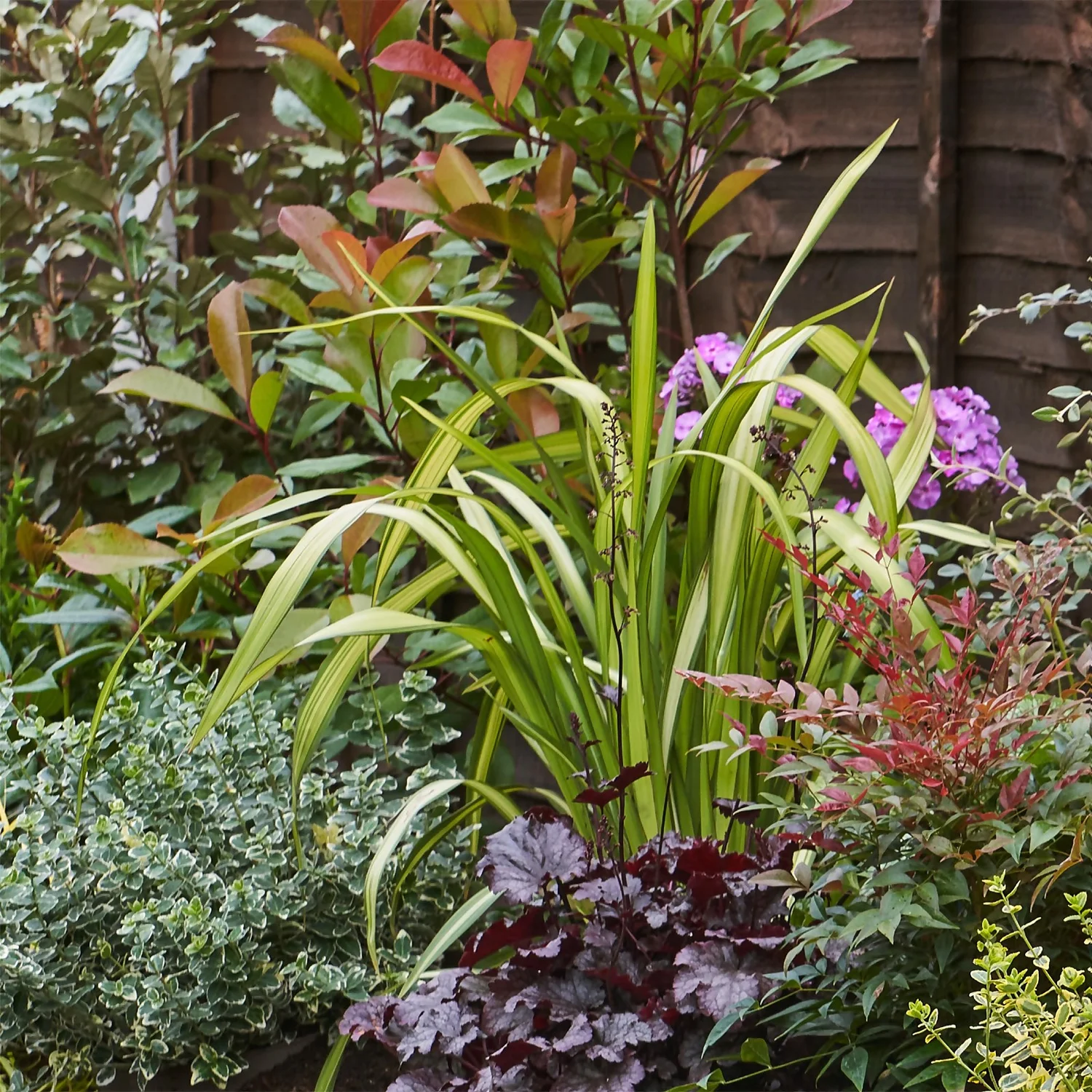 Evergreen Border Collection - 10m X 90cm 4 Evergreen Border Collection - 10m X 90cm - Image 4