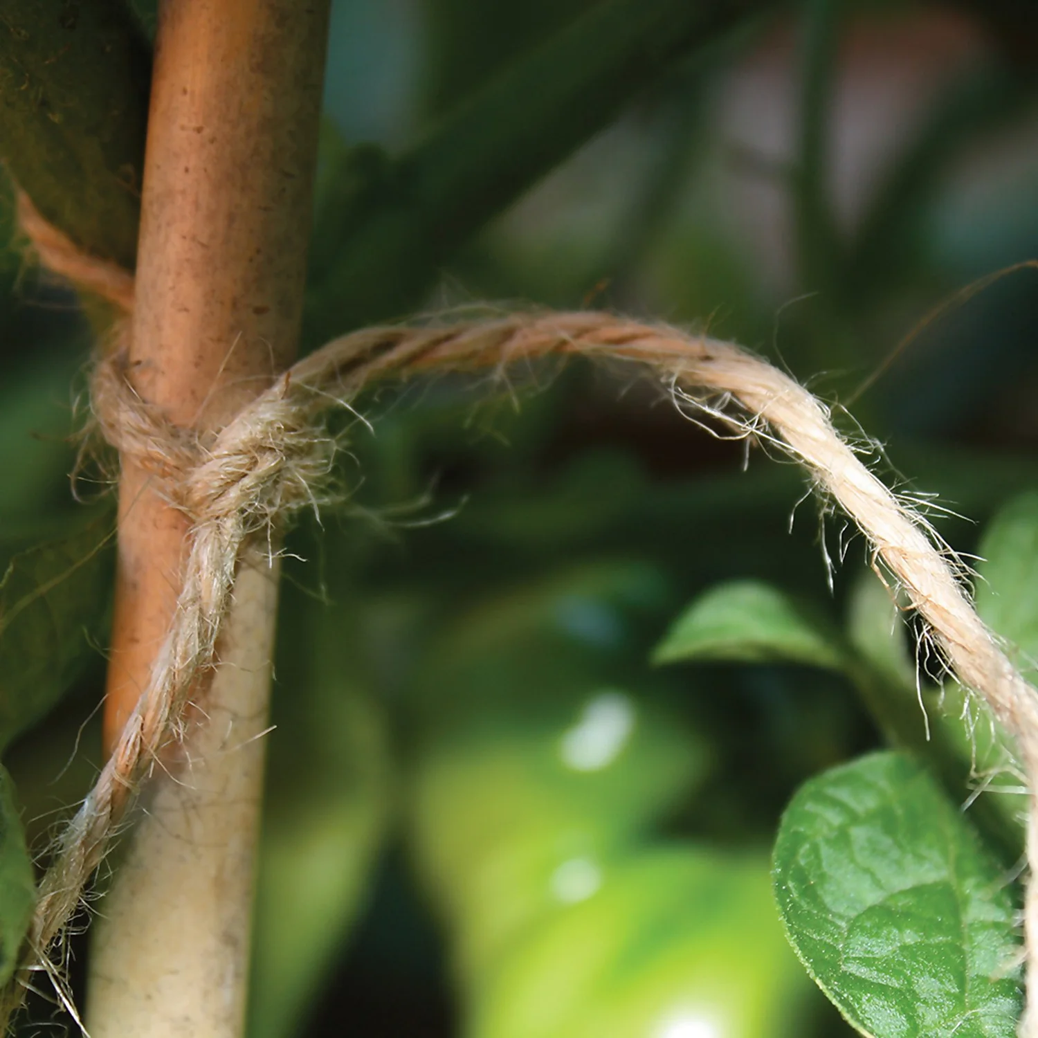 Tildenet Growers Choice Natural Jute Garden Twine - 110m 2 Tildenet Growers Choice Natural Jute Garden Twine - 110m - Image 2