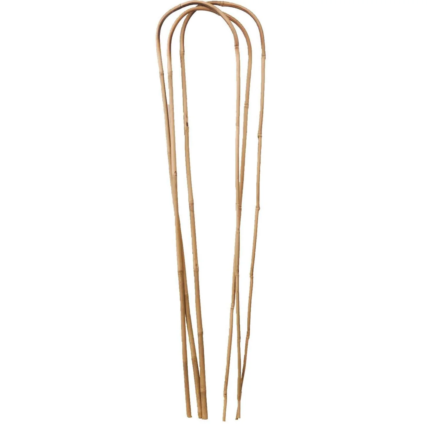 Garden Bamboo Loop Support - 1200mm 1 Garden Bamboo Loop Support - 1200mm