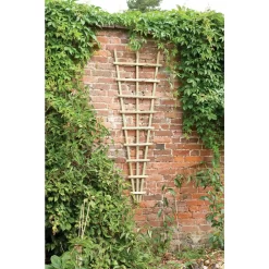 Traditional Fan Trellis 180 X 60cm