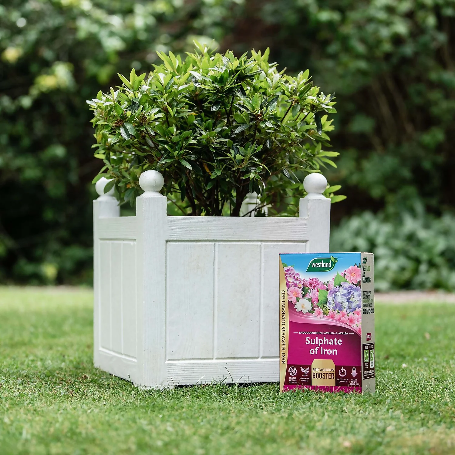 Westland Sulphate Of Iron - 1.5kg 2 Westland Sulphate Of Iron - 1.5kg - Image 2