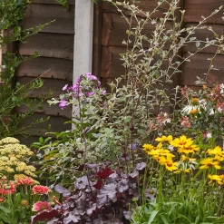 Bee And Butterfly Border 8m X 40cm 12 Bee And Butterfly Border 8m X 40cm -Garden Tool Store 12823773 1245027567526912