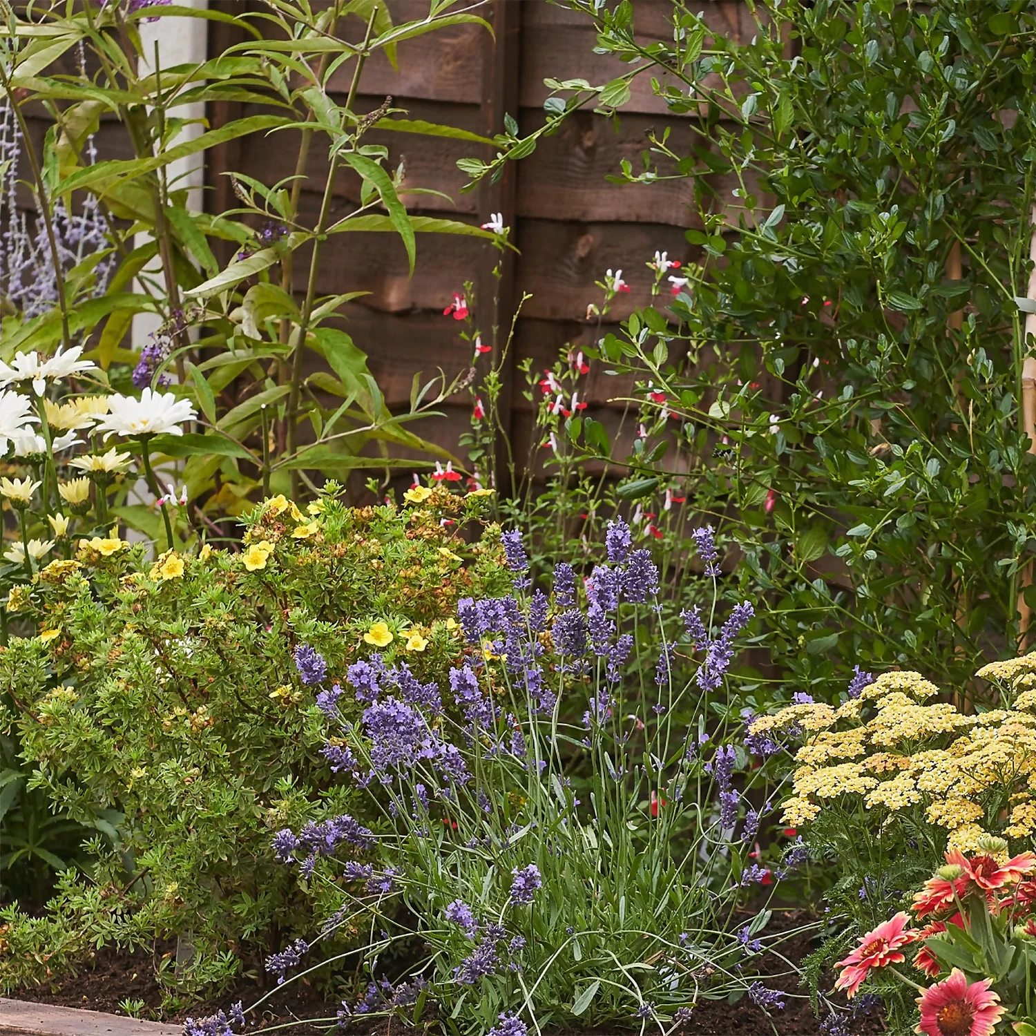 Bee And Butterfly Border 8m X 40cm 5 Bee And Butterfly Border 8m X 40cm - Image 5