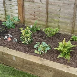 Bee And Butterfly Border 8m X 40cm 9 Bee And Butterfly Border 8m X 40cm -Garden Tool Store 12823773 7055027567273814