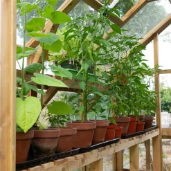 Forest 8 X 6ft Vale Greenhouse - Installation Included -Garden Tool Store 12823847 1804833220458030