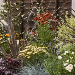 Mediterranean Border 9m X 120cm -Garden Tool Store 12827483 1805027900602692