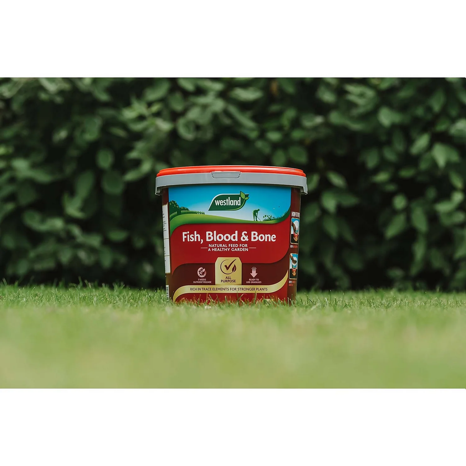 Westland Fish, Blood And Bone - 10kg 2 Westland Fish, Blood And Bone - 10kg - Image 2