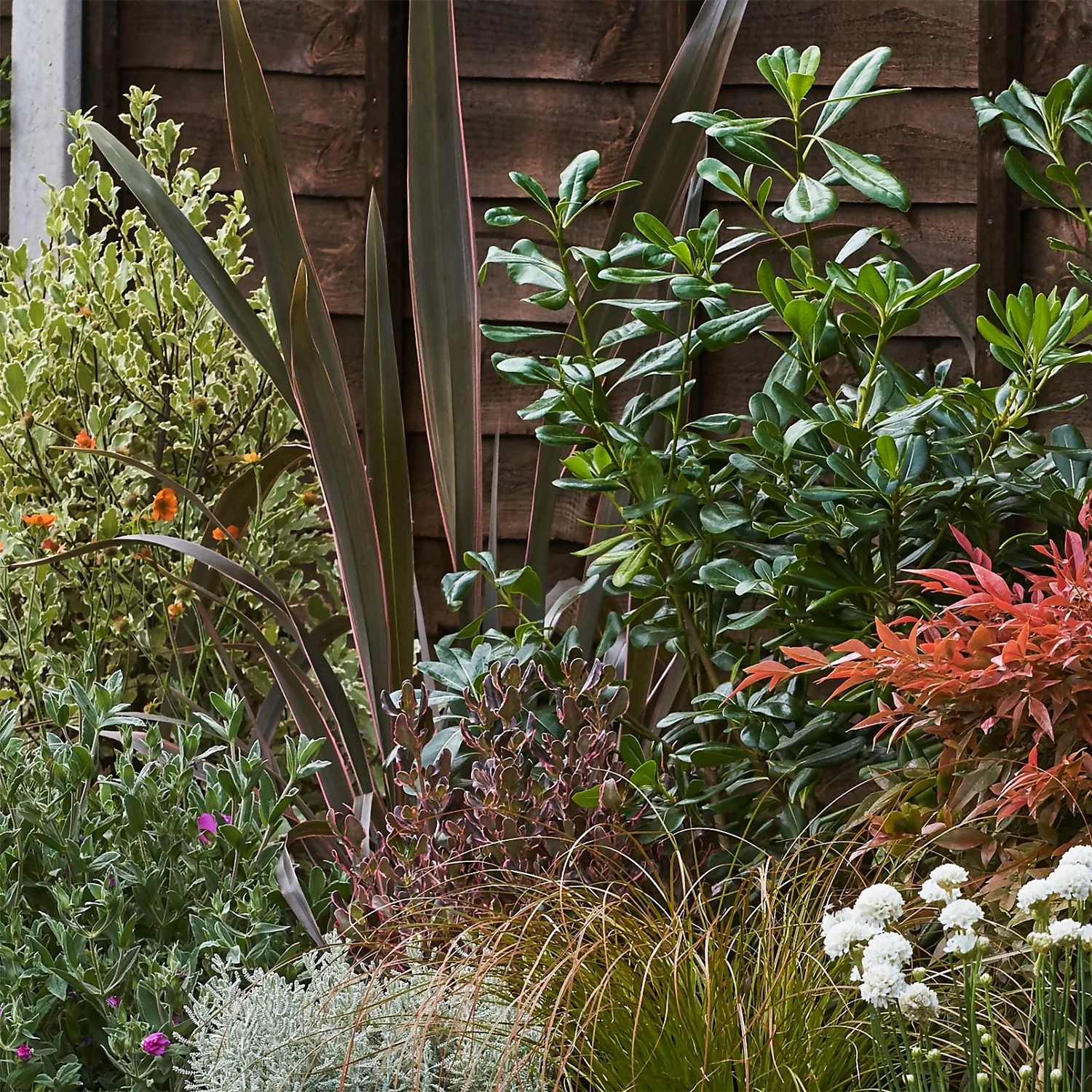 Garden On A Roll Eco Border - 6m X 90cm 5 Garden On A Roll Eco Border - 6m X 90cm - Image 5