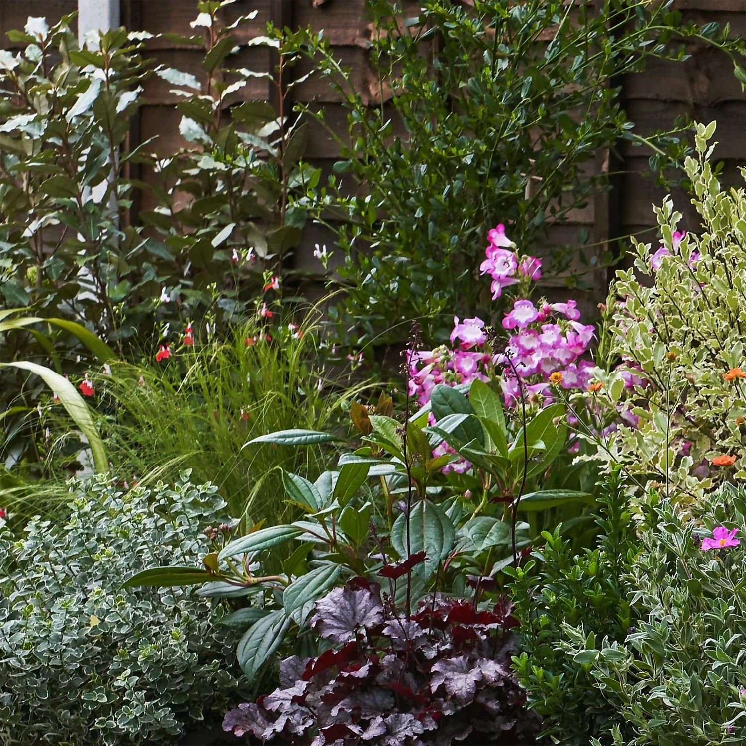 Garden On A Roll Eco Border - 6m X 90cm 4 Garden On A Roll Eco Border - 6m X 90cm - Image 4