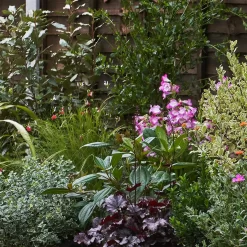 Garden On A Roll Eco Border - 9m X 90cm 10 Garden On A Roll Eco Border - 9m X 90cm -Garden Tool Store 12837999 1765027574077700