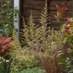 Garden On A Roll Eco Border - 3m X 120cm -Garden Tool Store 12838001 1625027900202534