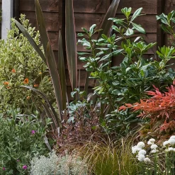 Garden On A Roll Eco Border - 8m X 120cm 11 Garden On A Roll Eco Border - 8m X 120cm -Garden Tool Store 12838161 9065027901047481