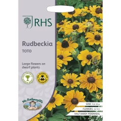 RHS Rudbeckia Toto