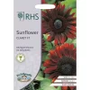 RHS Sunflower Claret F1