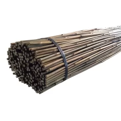 10 Pack Bamboo Canes - 2.4m/8ft