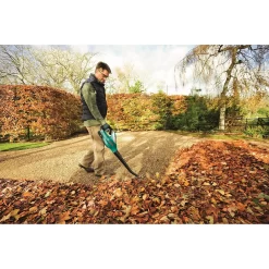 Bosch ALB 18 Li Cordless Garden Blower 8 Bosch ALB 18 Li Cordless Garden Blower -Garden Tool Store 12885389 8914843941828771