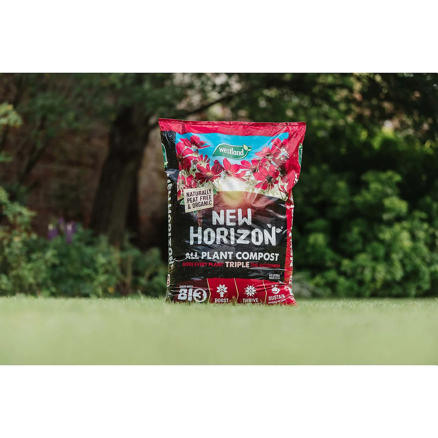 New Horizon Peat Free All Plant Compost - 50L 3 New Horizon Peat Free All Plant Compost - 50L - Image 3