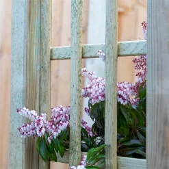 Mercia Curved Arch 7 Mercia Curved Arch -Garden Tool Store 12888302 6134849860614286