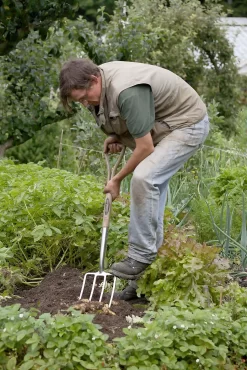 Spear & Jackson Traditional Stainless Digging Fork 12 Spear & Jackson Traditional Stainless Digging Fork -Garden Tool Store 12904675 2754851072222033