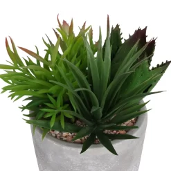 Mixed Succulent In Grey Pot -Garden Tool Store 12909503 1064869235639350