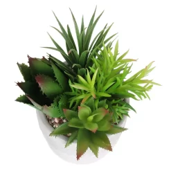 Mixed Succulent In Grey Pot -Garden Tool Store 12909503 2024869235594281
