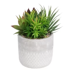 Mixed Succulent In Grey Pot