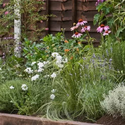 Sensory Border 3m X 40cm 10 Sensory Border 3m X 40cm -Garden Tool Store 13096635 1585034598941078