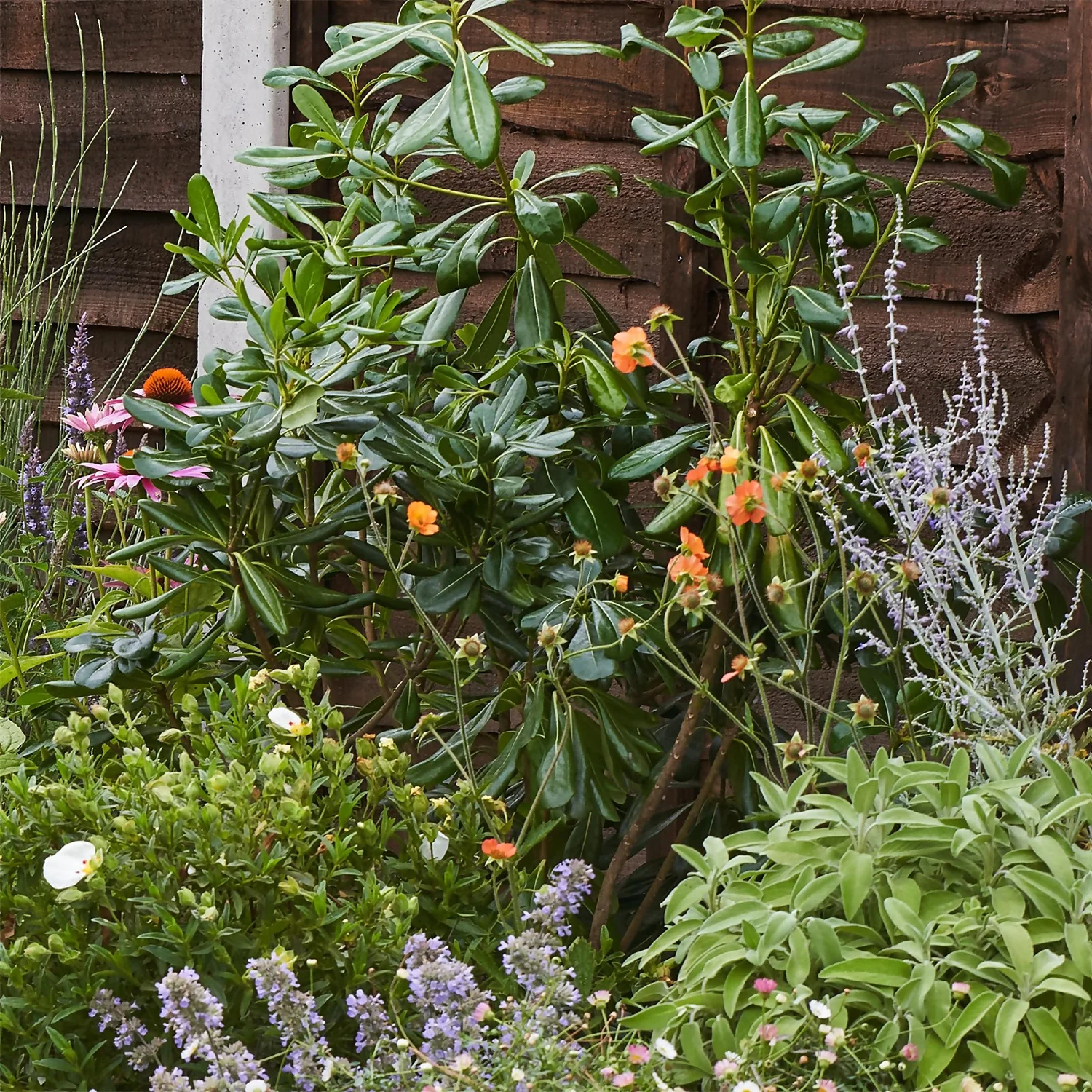 Sensory Border 3m X 40cm 6 Sensory Border 3m X 40cm - Image 6