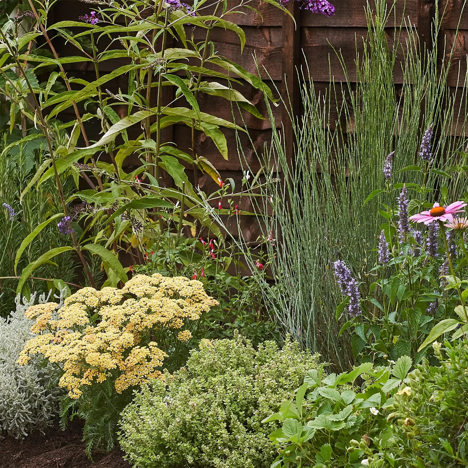 Sensory Border 3m X 40cm 5 Sensory Border 3m X 40cm - Image 5