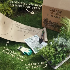 Sensory Border 3m X 40cm 13 Sensory Border 3m X 40cm -Garden Tool Store 13096635 9025034599136390