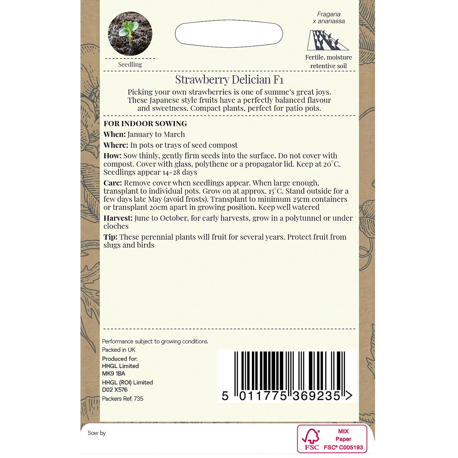 Country Living Strawberry Delician F1 Seeds 2 Country Living Strawberry Delician F1 Seeds - Image 2