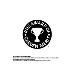 Aucuba Japonica Variegata 17cm 6 Aucuba Japonica Variegata 17cm -Garden Tool Store 13133364 1414941778963311